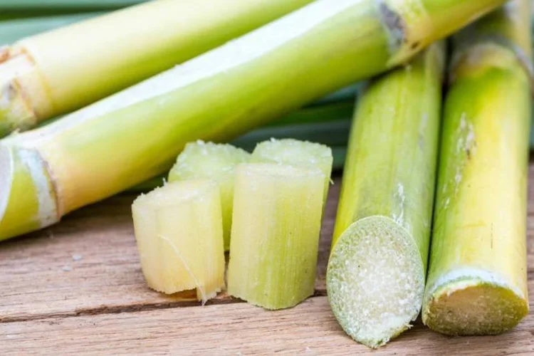 
	Cana-de-a&ccedil;&uacute;car: o a&ccedil;&uacute;car bruto bateu m&aacute;xima de 18 meses, a 16,87 centavos, em 5 de maio
 (Thinkstock/)