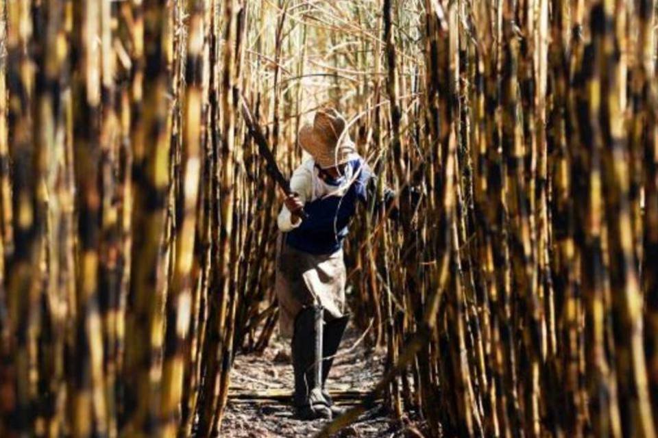 BrasilAgro desiste de realizar oferta de ações