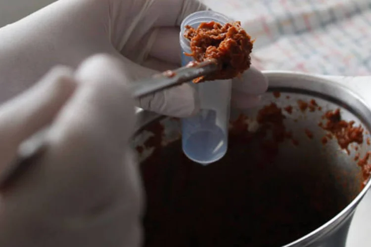 
	O esc&acirc;ndalo da carne de cavalo disfar&ccedil;ada de carne bovina come&ccedil;ou na Irlanda no m&ecirc;s passado
 (REUTERS/Leonhard Foeger)