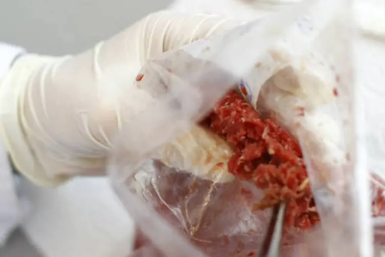 Aamostras de carne picada são testados quanto à presença de carne de cavalo, em laboratório de Munique (REUTERS / Michaela Rehle)