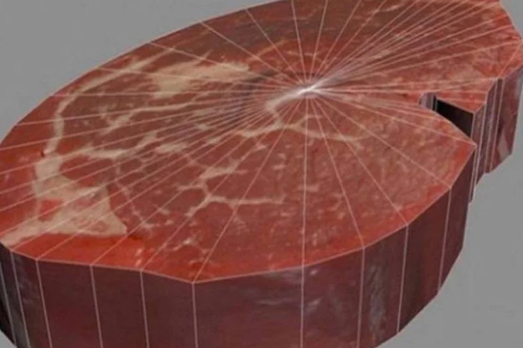Modelo de carne para ser impressa: equipamento fará produto saudável, garante pesquisador (Reprodução)
