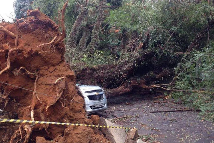 
	Carro &eacute; atingido por queda de &aacute;rvore em Perdizes: segundo o meteorologista do Inmet, as microexplos&otilde;es s&atilde;o comuns durante o ver&atilde;o, mas tamb&eacute;m em per&iacute;odos de transi&ccedil;&atilde;o entre esta&ccedil;&otilde;es
 (Mariana Belley/ Divulgação)