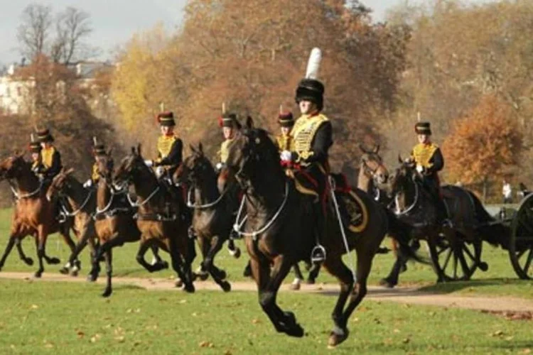 Galopes de enegia: estrume da cavalaria real britânica será usado como biocombustível (.)