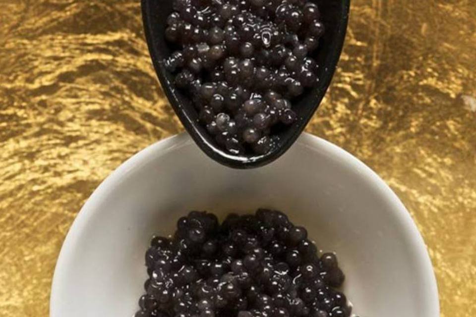 Abu Dhabi terá a maior fábrica de caviar do mundo