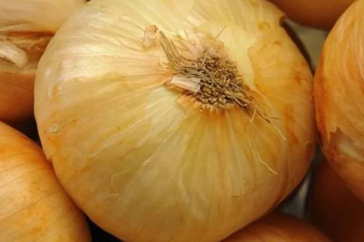 O produto que teve a maior alta no mês passado foi a cebola (alta de 5,08%) (Wikimedia Commons)