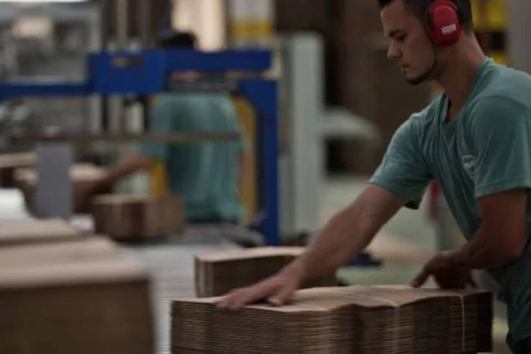 Linha de produção de caixas de papelão biodegradável, reciclável e retornável, na Celulose Irani (Fabiano Accorsi/EXAME)