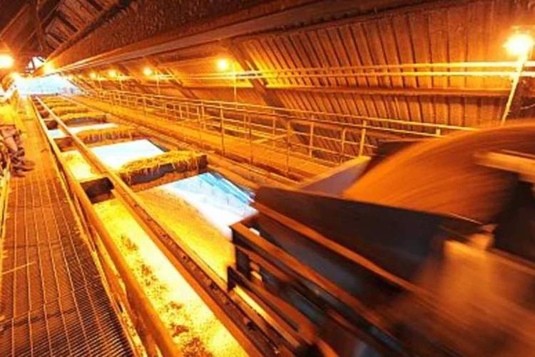 Fábrica de celulose e papel: Por causa do elevado valor desse produto, algumas empresas começaram a reativar suas fábricas (.)