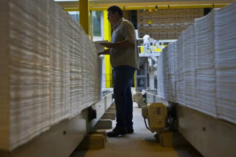 Fábrica de papel da Eldorado Celulose (Dado Galdieri/Bloomberg)