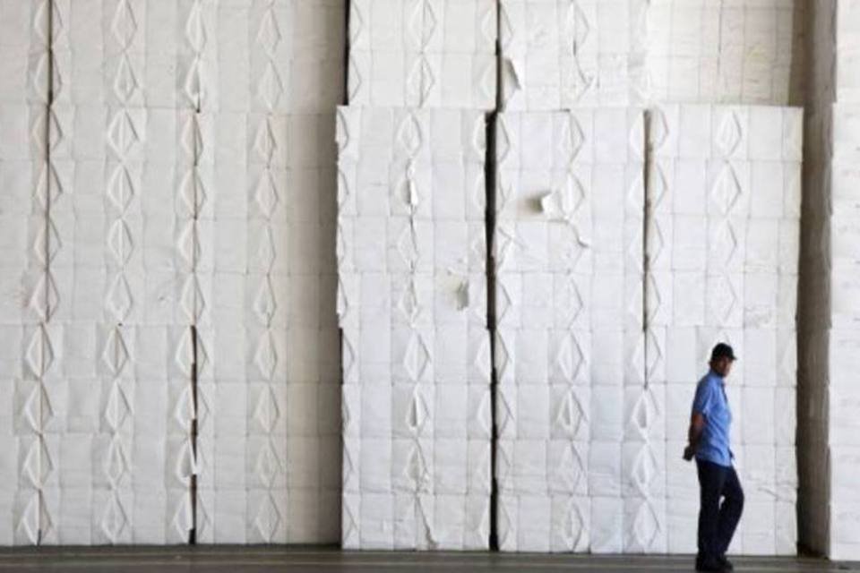 Produção de celulose cresce 6,7% em setembro, diz associação