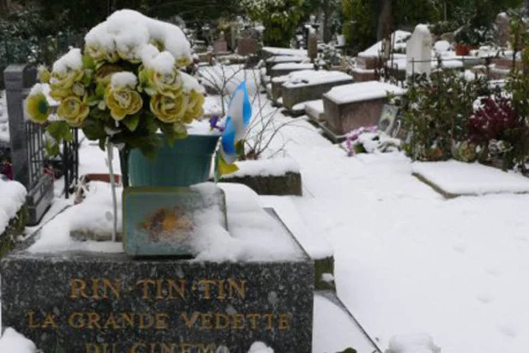 Sepultura do lendário Rin Tin Tin:  o colar de diamantes é avaliado em 9 mil euros (Martin Trauth/AFP)