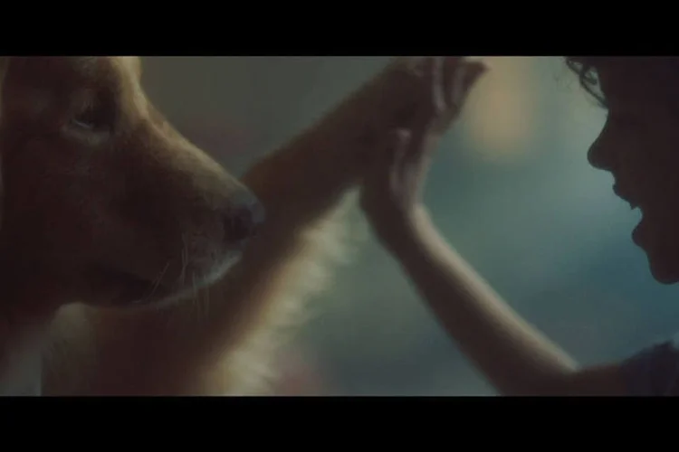 
	Cena de comercial: a campanha criada pela Wunderman incentiva a toler&acirc;ncia e retrata como exemplo mundial o carinho que os c&atilde;es podem dar a essas pessoas
 (Reprodução/ Youtube)