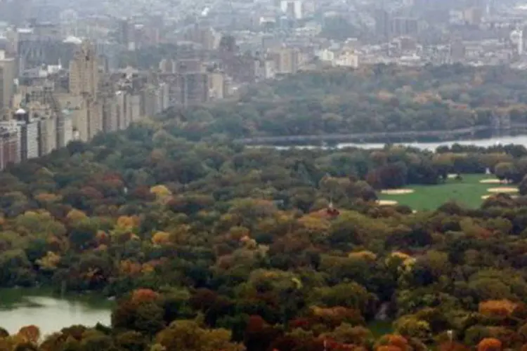 
	Central Park: a institui&ccedil;&atilde;o agradeceu a doa&ccedil;&atilde;o e recordou que mais de 40 milh&otilde;es de pessoas visitam a cada ano o parque
 (Mario Tama/Getty Images/AFP)