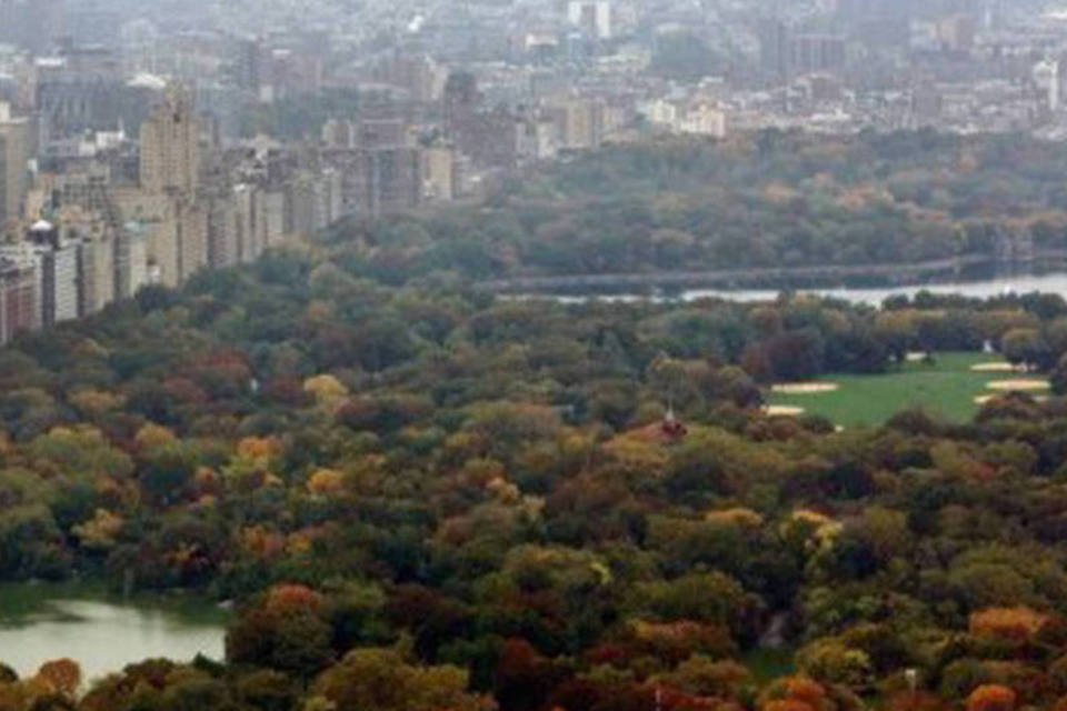 Bilionário doa US$ 100 milhões para o Central Park
