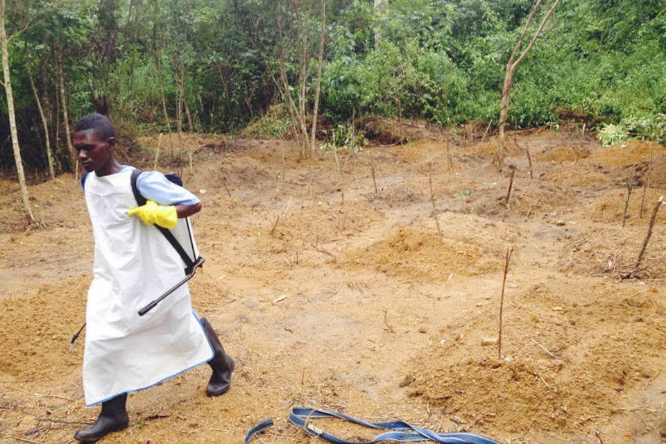 OMS consulta especialistas sobre tratamentos para ebola