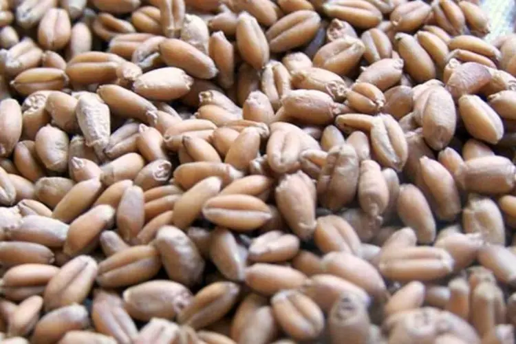 
	Cereais: o grupo dos cereais foi o que teve a maior queda de pre&ccedil;os
 (Zandland/Wikimedia Commons)