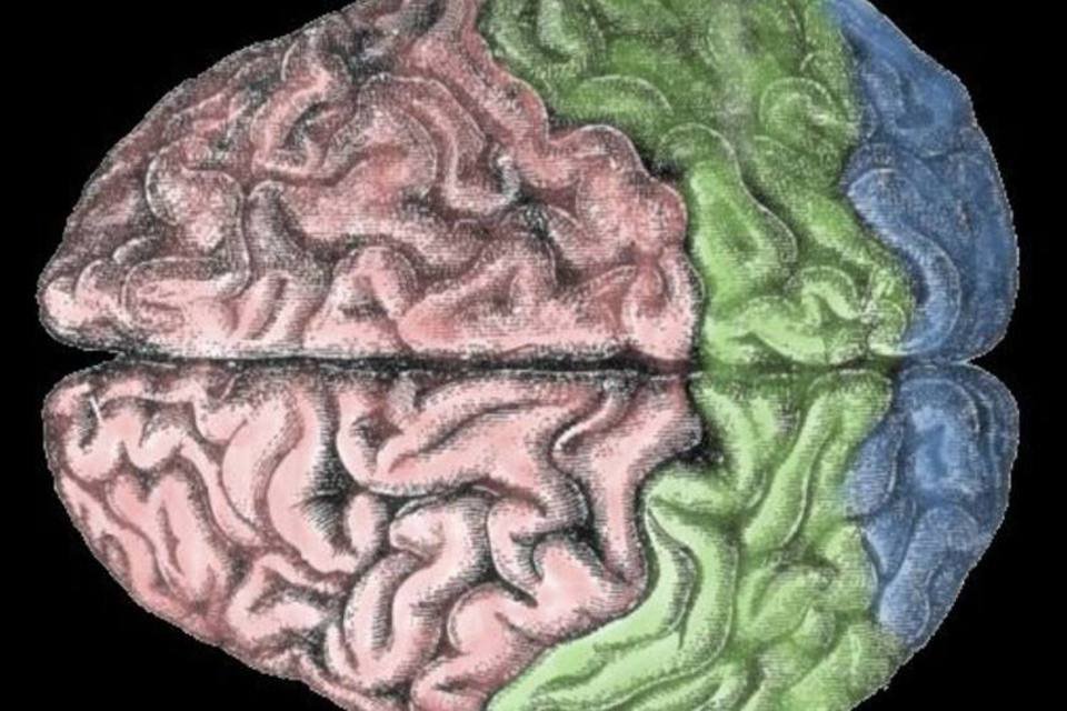Medição da atividade cerebral podem revelar atitudes que pessoas tomarão