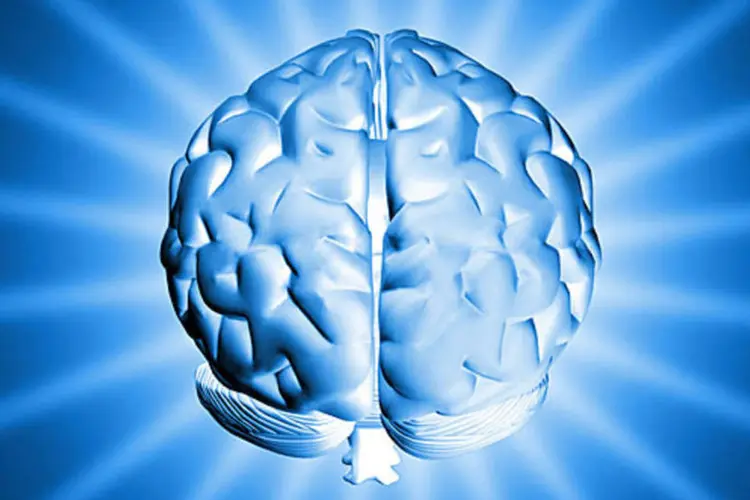 Quer saber mais sobre o cérebro humano? (Artem Chernyshevych / SXC)