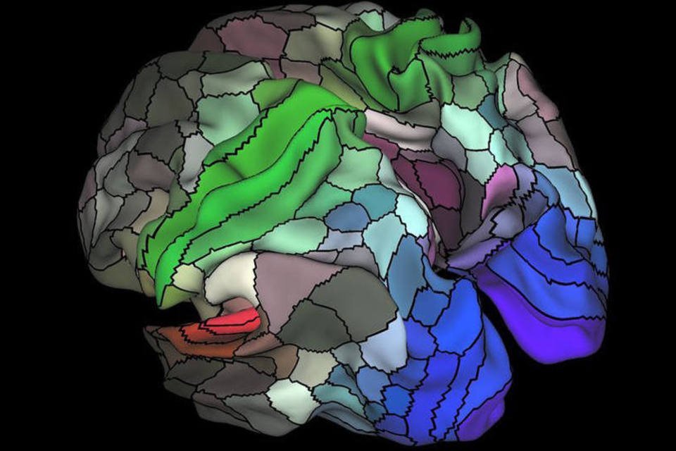 Novo mapa cerebral pode mudar os rumos da neurociência