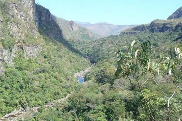 Área do Cerrado brasileiro: Maranhão, Tocantins e Bahia lideram o desmatamento (Wikimedia Commons)