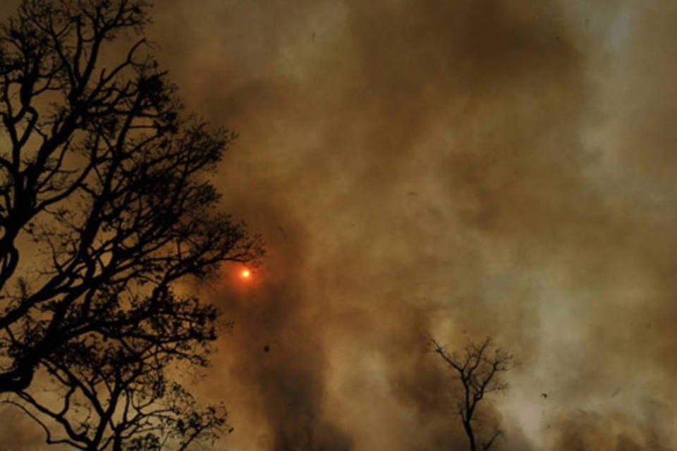 Desmatamentos e queimadas no Cerrado serão monitorados