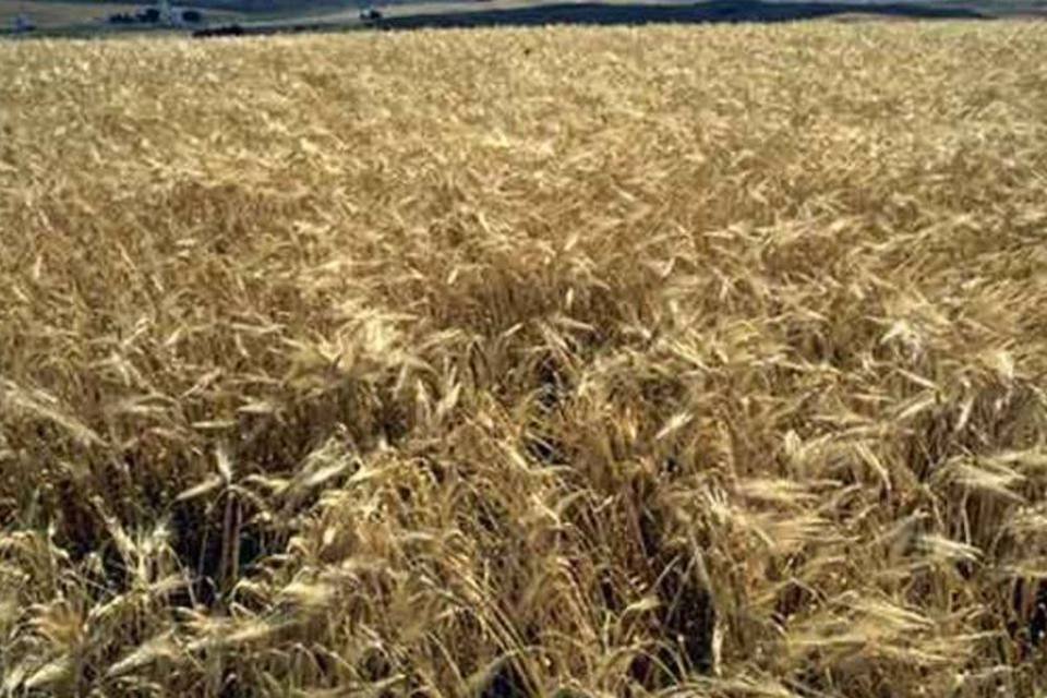 Irã impõe tarifas e abala expectativas por mais comércio