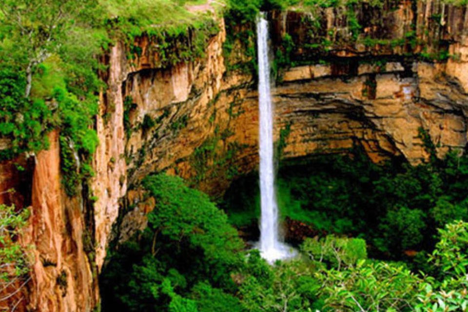 Brasil terá santuário de elefantes na Chapada dos Guimarães