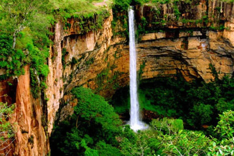 
	Chapada dos Guimar&atilde;es: local vai receber um santu&aacute;rio para elefantes em fazenda adquirida por meio de doa&ccedil;&otilde;es de organiza&ccedil;&otilde;es internacionais
 (Divulgação)