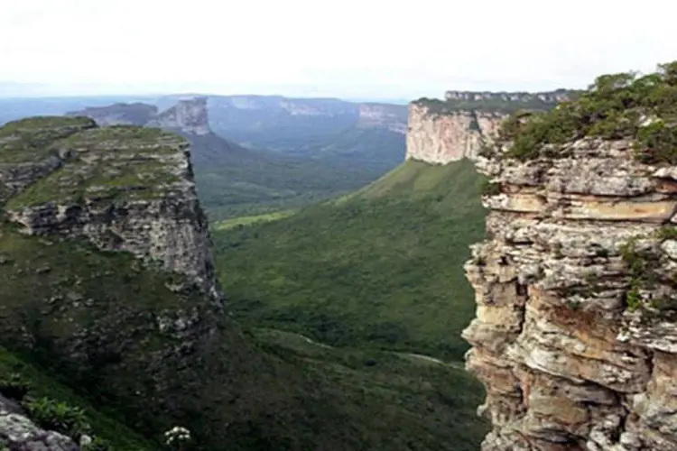 
	Chapada Diamantina: causa do inc&ecirc;ndio est&aacute; sendo investigada pela Companhia de Pol&iacute;cia Ambiental
 (Roberto Barroso/ABr)