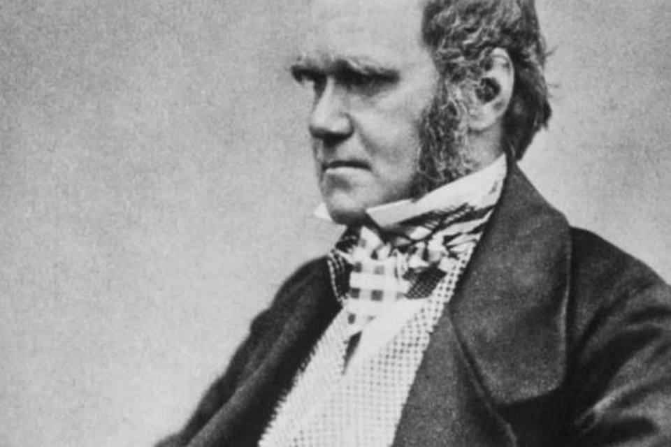 Darwin (Wikimedia Commons/Wikimedia Commons)
