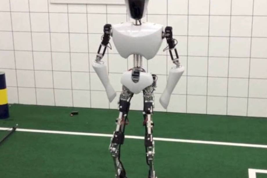 Robô que faz brincadeiras e analisa reações é apresentado
