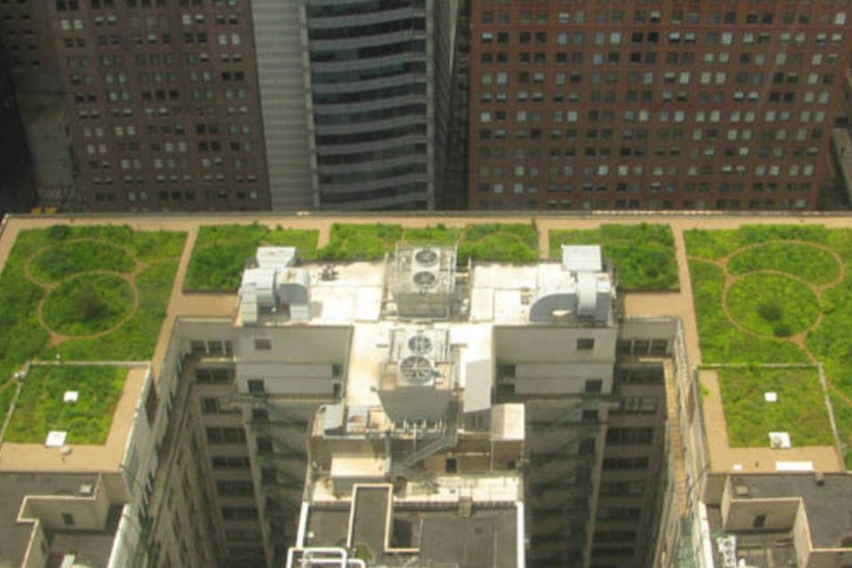 Telhados verdes podem dispensar o uso de ar condicionado