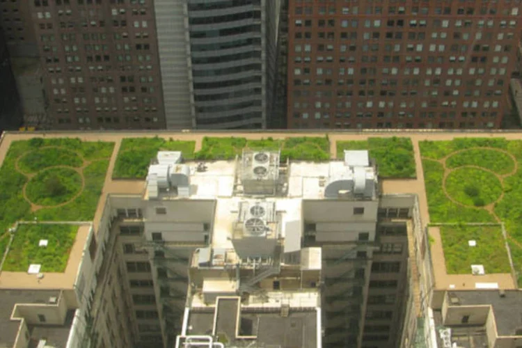 
	Fran&ccedil;a: tanto a cobertura verde quanto os paineis solares ajudam a reduzir o consumo de energia nuclear do pa&iacute;s
 (Wikimedia Commons)