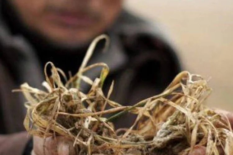 Seca na China: país vai destinar 10% dos investimentos para irrigação (AFP)