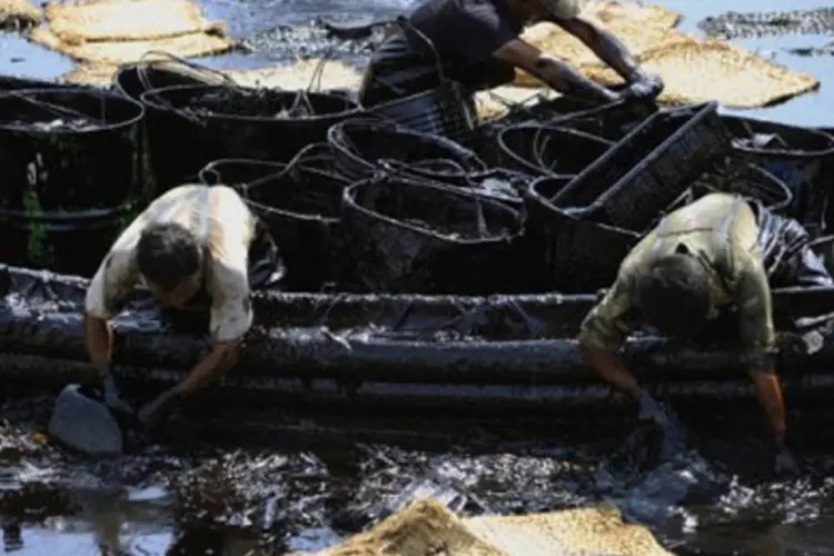 Greenpeace estima que derramamento tenha sido entre 60.000 a 90.000 toneladas de óleo; Governo admite apenas 1.500 toneladas  (Liu Jin/AFP)