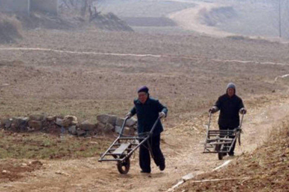 
	Trabalhadores rurais na China: um habitante do campo ganha quase duas vezes mais em um trabalho em uma zona urbana do que se cultivar um terreno agr&iacute;cola
 (Peter Parks/AFP)