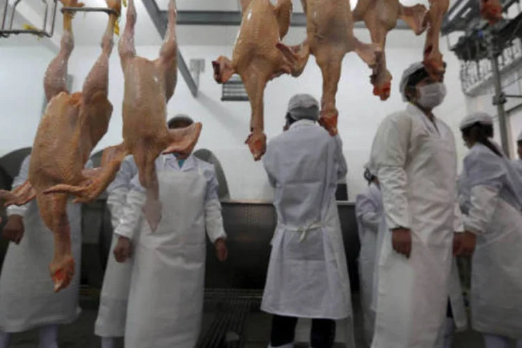 
	Gripe avi&aacute;ria: at&eacute; agora, 108 pessoas j&aacute; contra&iacute;ram a doen&ccedil;a desde que as primeiras mortes foram registradas na China no m&ecirc;s passado
 (REUTERS/Stringer)
