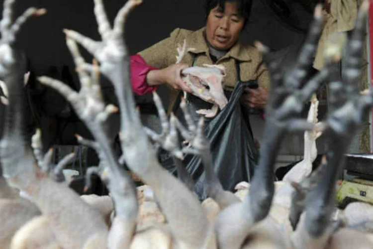 Gripe aviária: nove pessoas morreram entre os 33 casos confirmados do vírus, todos no leste da China, de acordo com dados da Comissão Nacional para o Planejamento Familiar e Saúde. (REUTERS/Stringer)