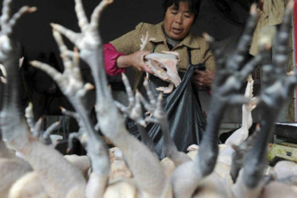 China encontra casos de gripe aviária em 5 novos locais