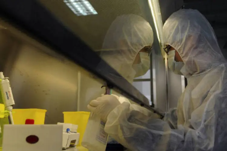 
	T&eacute;cnico realiza teste em amostra suspeita de contamina&ccedil;&atilde;o com o v&iacute;rus da gripe avi&aacute;ria H7N9 
 (REUTERS / Stringer)