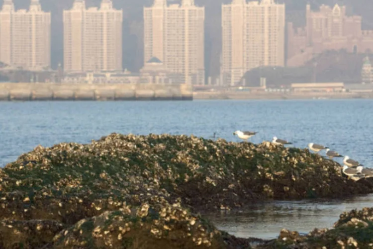 Mar em Dalian: projeto ligaria a cidade portuária na província de Liaoning a cidade de Yantai, na província de Shandong (China Photos/Getty Images)