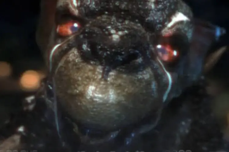 Chupa-cabra aparece em novo comercial da Direc TV: o personagem diz que existe, sim (Divulgação)