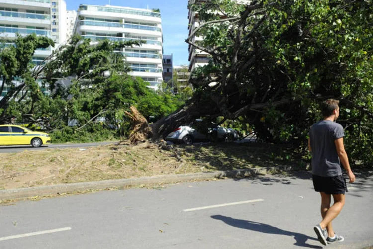 O vento forte provocou queda de árvores na avenida Epitácio Pessoa, zona sul da capital fluminense (Tomaz Silva/Agência Brasil)