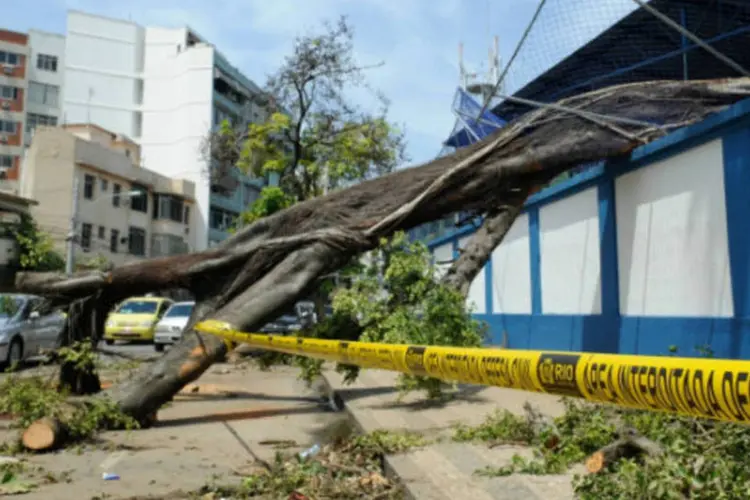 
	Estragos causados pela forte chuva que atingiu o Rio: segundo concession&aacute;rias, &aacute;rvores e galhos ca&iacute;ram sobre a rede el&eacute;trica, interrompendo a transmiss&atilde;o de energia
 (Tânia Rêgo/ABr)