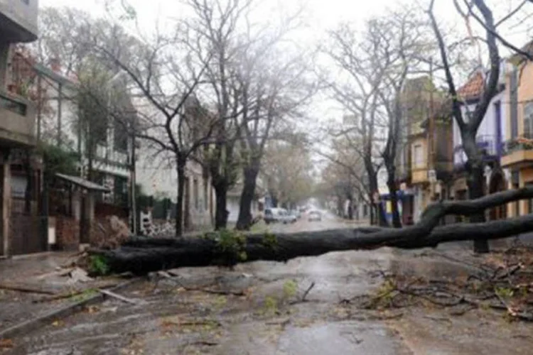 
	Chuvas no Uruguai:&nbsp;rajadas de vento mais intensas aconteceram na madrugada em Rocha, estado litor&acirc;neo que faz fronteira com o Brasil, com 87 km/h
 (Miguel Rojo/AFP)