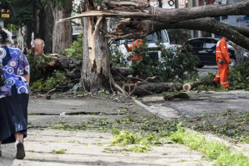 Temporal volta a causar alagamentos em São Paulo