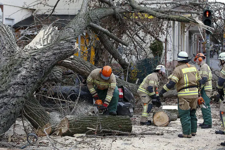 Bombeiros removem partes de uma árvore que caiu após passagem do ciclone Niklas em Berlim, na Alemanha  (REUTERS/Fabrizio Bensch)