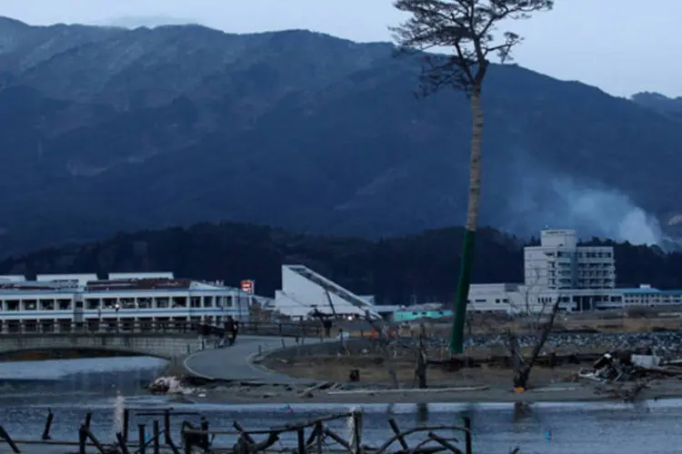O único pinheiro que resistiu ao tsunami, que atingiu o Japão e varreu uma floresta inteira na cidade de Rikuzentakata, é visto entre as ruínas da cidade (Chris McGrath/Getty Images)