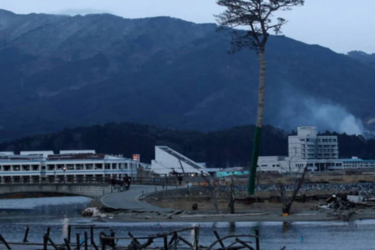 O único pinheiro que resistiu ao tsunami, que atingiu o Japão e varreu uma floresta inteira na cidade de Rikuzentakata, é visto entre as ruínas da cidade (Chris McGrath/Getty Images)