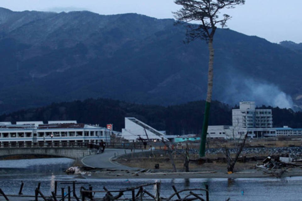 Chefs de cozinha  visitaram áreas arrasadas por tsunami
