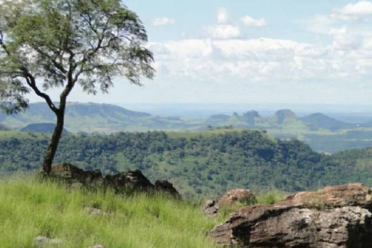 Botucatu, no interior paulista: cidade lidera ranking de município verde (Divulgação/Prefeitura de Botucatu)